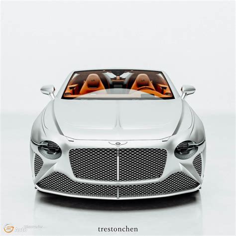 hermes bentley|Hermes website.